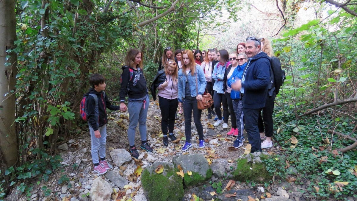 ffst_zvjezdanoselo_mosor (1)