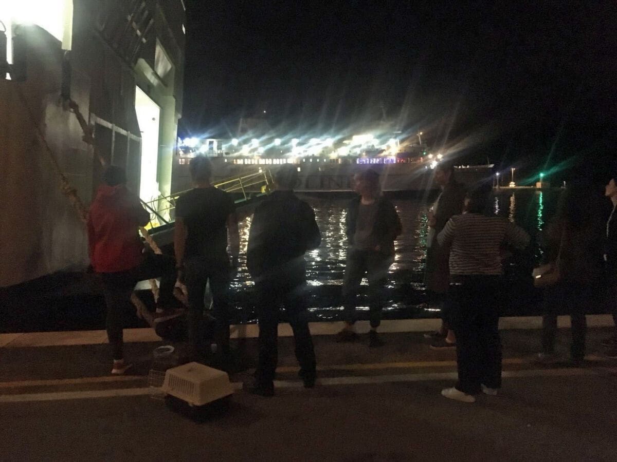 maca-trajekt-vatrogasci01