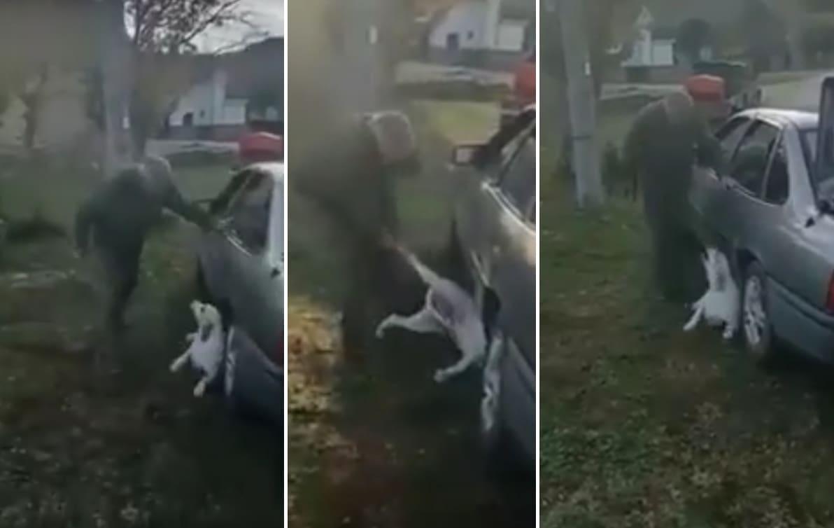 UHIĆEN ZLOSTAVLJAČ PASA Policija privela lovca koji se iživljavao nad psima