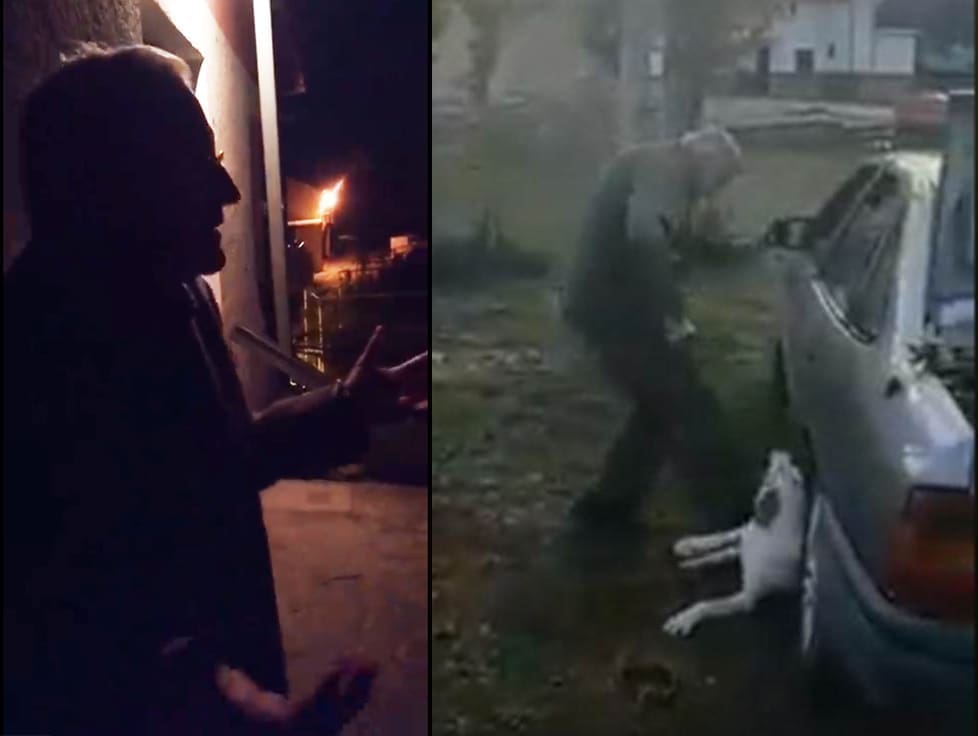 NA SLOBODI Pušten zlostavljač pasa, kriminalističko istraživanje preuzima zadarska policija