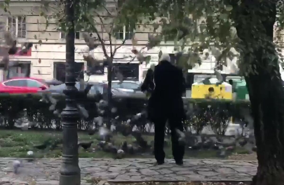 O lijepa, o draga, o slatka slobodo: Todorić nahranio golubove pa poručio da će se kandidirati na izborima!