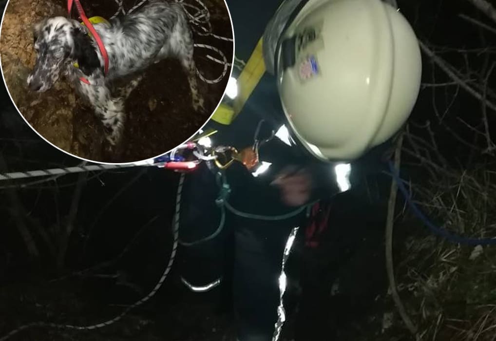 TRILJSKI VATROGASCI POKAZALI SRCE Iz duboke jame spasili ozlijeđenog psa