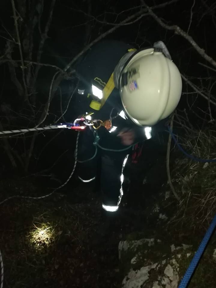 vatrogasci_trilj_pas_01