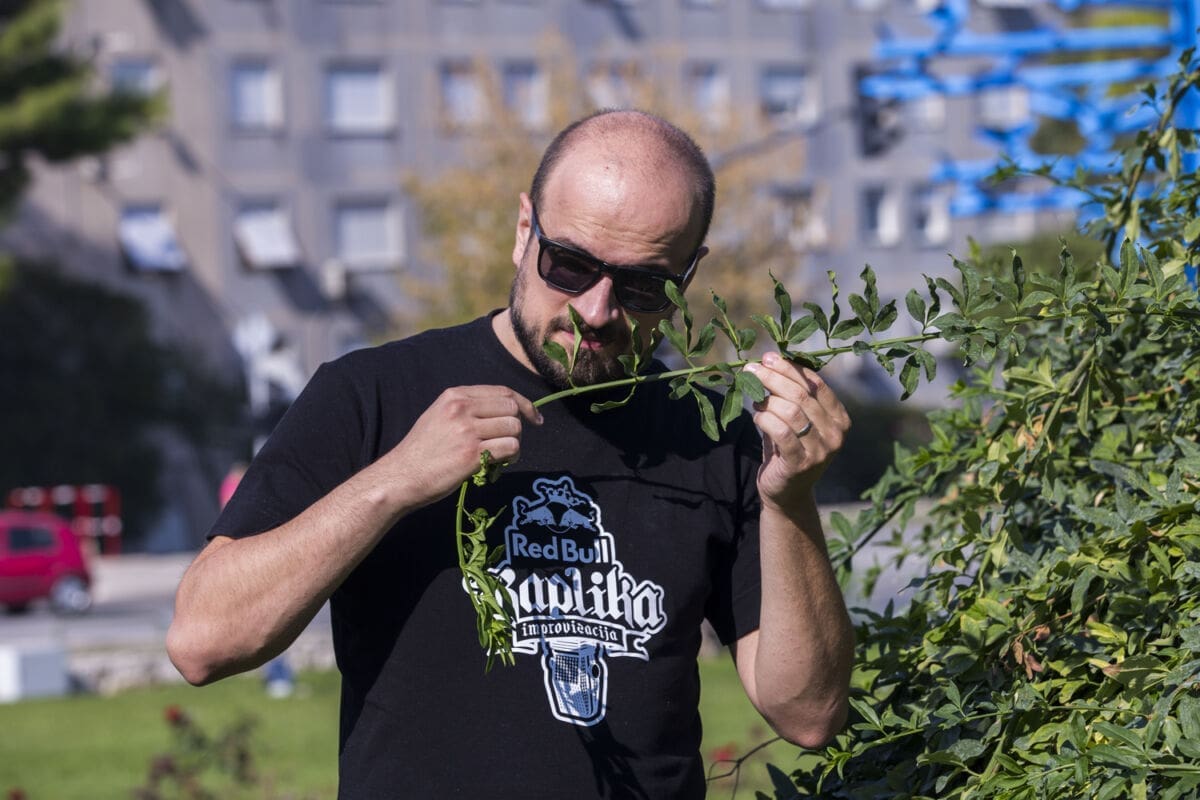 Vojko Vrućina u dva stiha opisao cirkus u Hrvatskom saboru