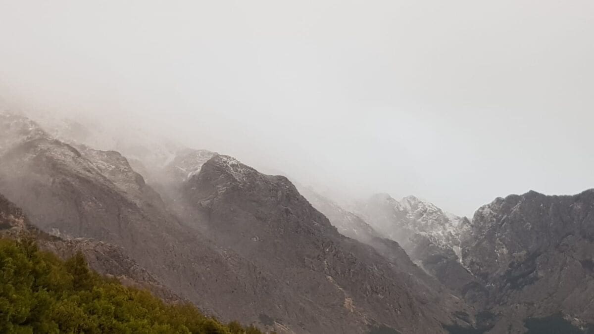 WhatsApp Image 2018-12-08 at 16.19.22