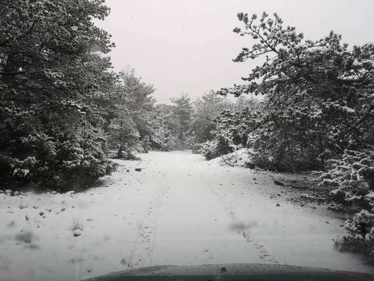 ZIMA I NA OTOCIMA Pogledajte snježnu idilu na otoku Braču