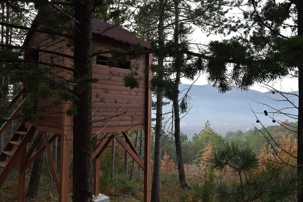 Pogledajte kako izgleda novouređena šetnica Pavića nebesa