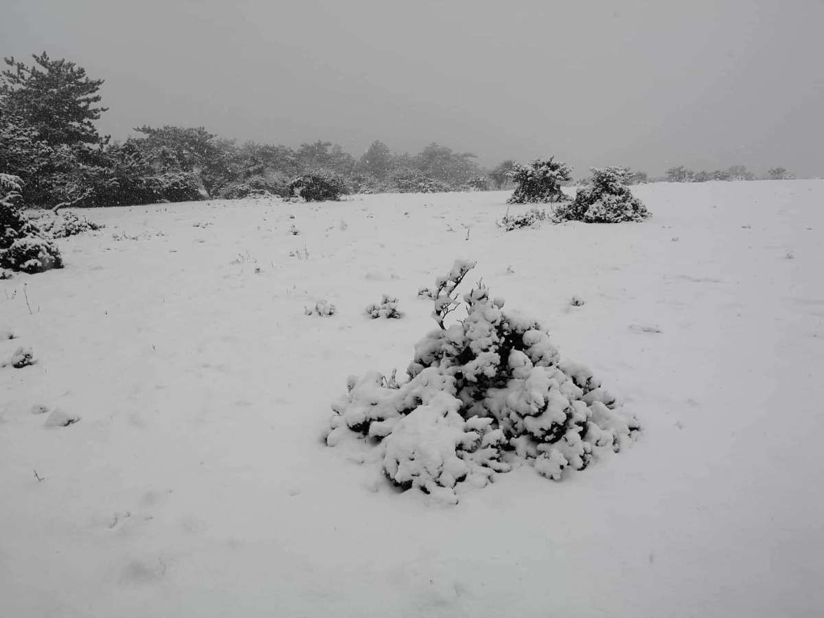 received_245816366347330