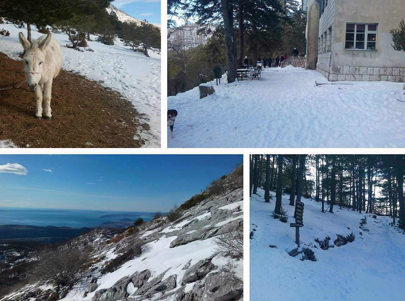 SPLIĆANI "OKUPIRALI" MOSOR Brojni izletnici i planinari na snijegu uživali u sunčanom zimskom danu