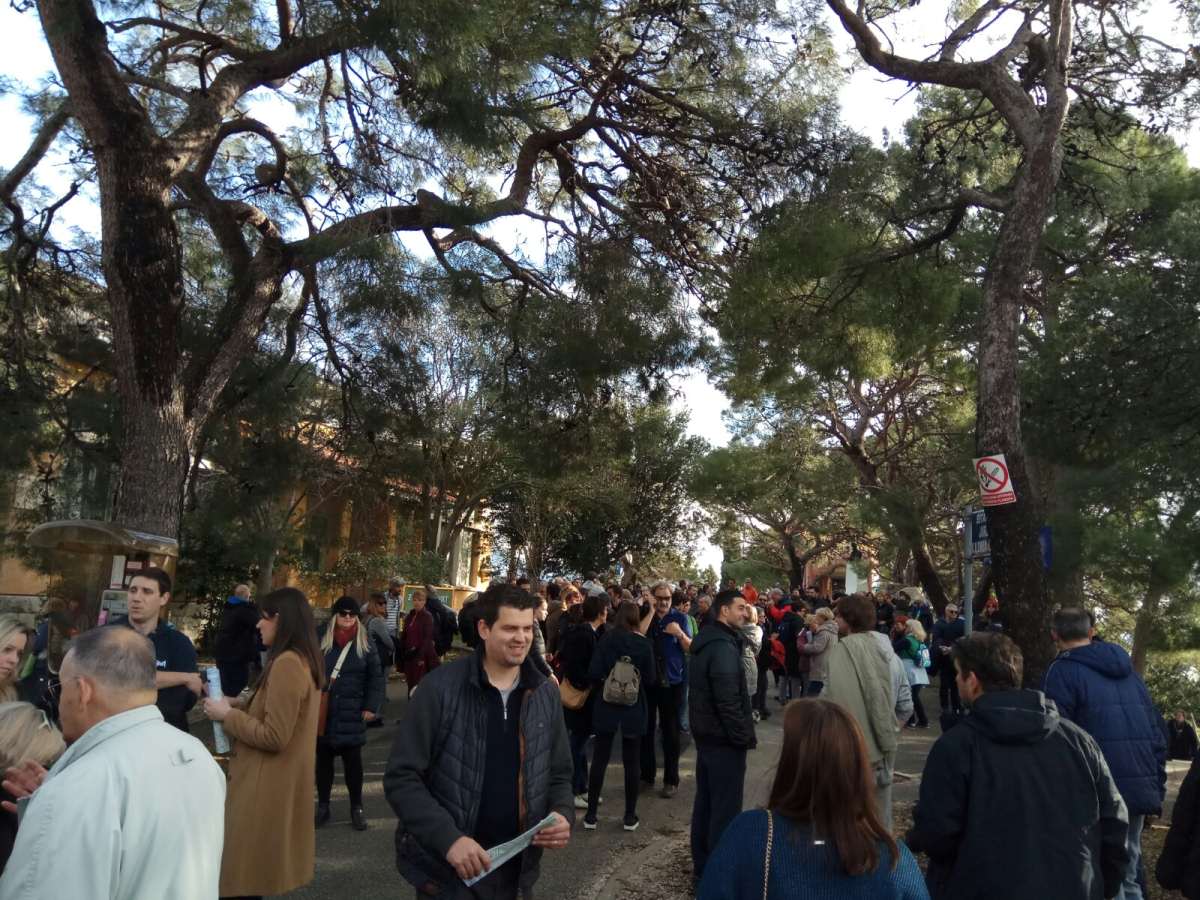 MOST: "Čini se da najnovija inicijativa želi preduhitriti potkornjaka i uništiti šumu prije njega"