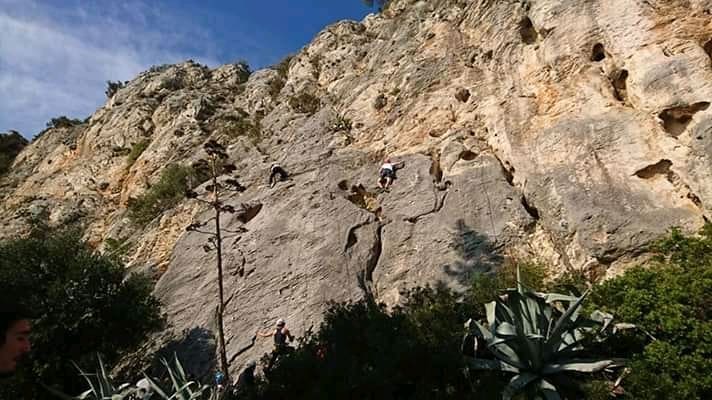 marulianus_3012019 (1)