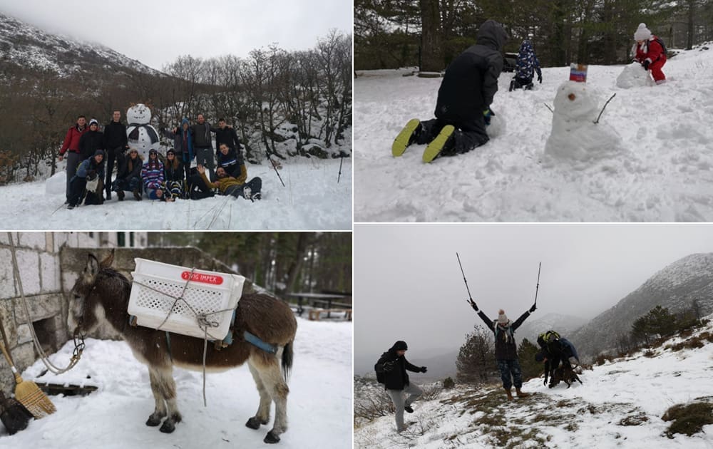 SNJEŽNE RADOSTI NA MOSORU Vesela ekipa planinara napravila snješka visokog dva i pol metra