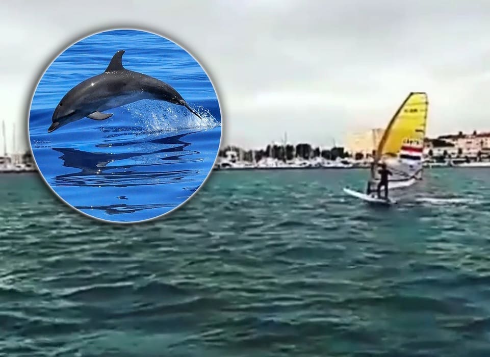 "OVO JOŠ NISAM VIDIO" Trostruki olimpijac trening u splitskoj gradskoj luci odradio - s dupinima!