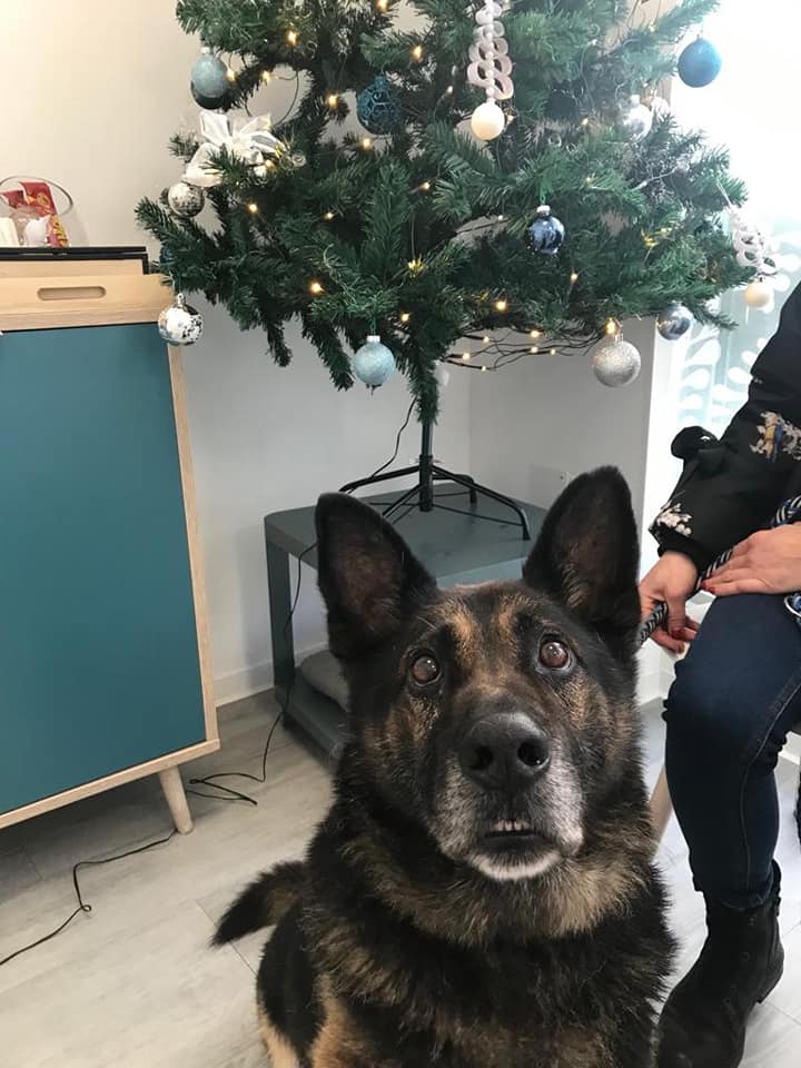 sehaliah-pas boni (1)