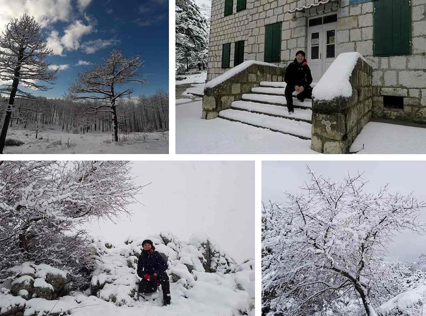 OMILJENA PLANINARSKA DESTINACIJA SPLIĆANA Pogledajte današnju snježnu idilu na planinarskom domu Umberto Girometta