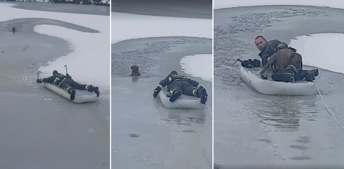 VATROGASAC HEROJ Sa zaleđenog jezera spasio psa koji se utapao u rupi