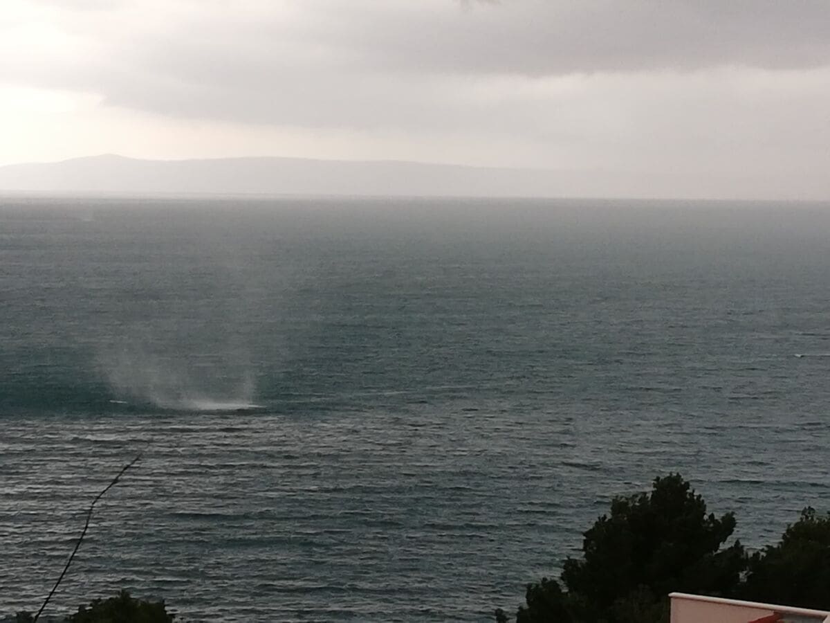 51699147_2005428633093996_8442719962249822208_n