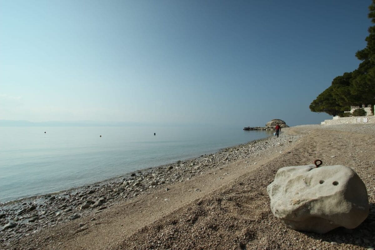 WhatsApp Image 2019-02-20 at 13.13.17