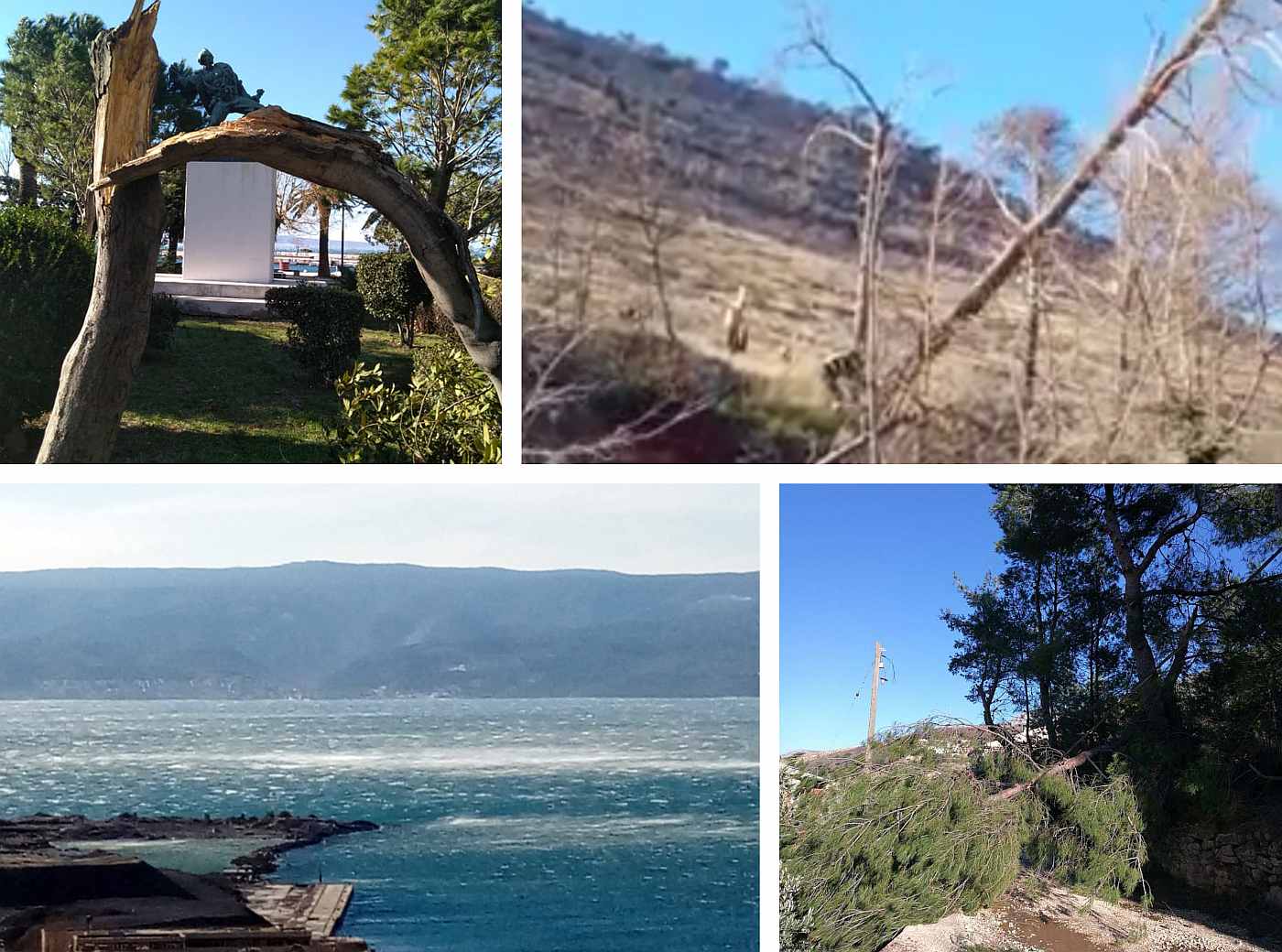 NAJJAČA BURA GODINE Padaju stabla u Podstrani, Dugom Ratu, Žrnovnici: Vatrogasci otklanjaju opasnost od prometnica