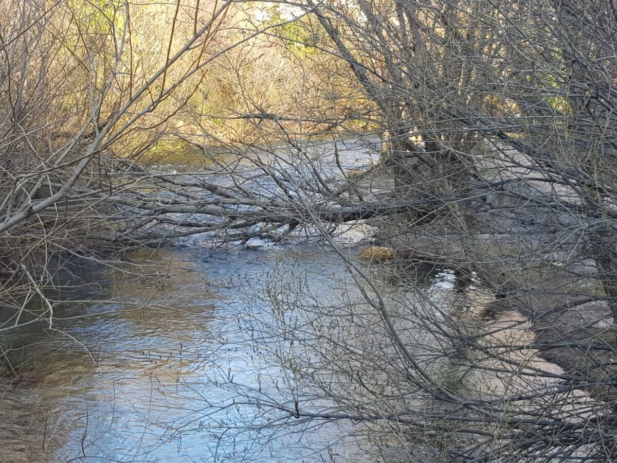 bura-stete-setnica-zrnovnica(1)