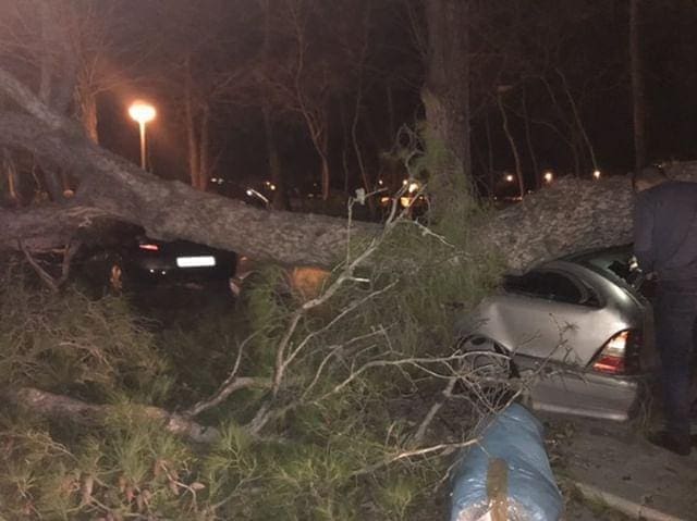 KRŠ I LOM Stabla padaju po automobilima u Trogiru, u Splitu osjet hladnoće pao na -11 stupnjeva!
