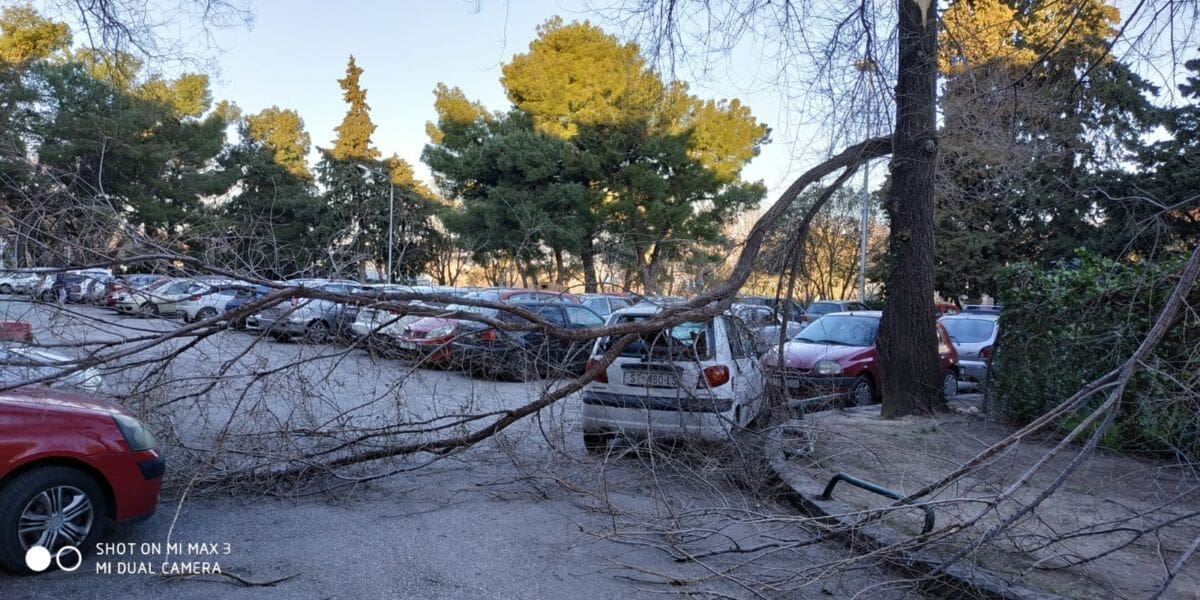 Popadala stabla na Spinutu: Zatvoren izlaz s parkinga, poklopljen automobil, a po cestama motori i kontejneri