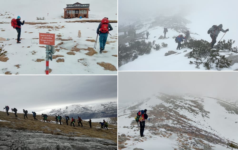 KAŠTELANI NA VRHU HRVATSKE Na snježnim padinama Dinare dobili neočekivanog suputnika