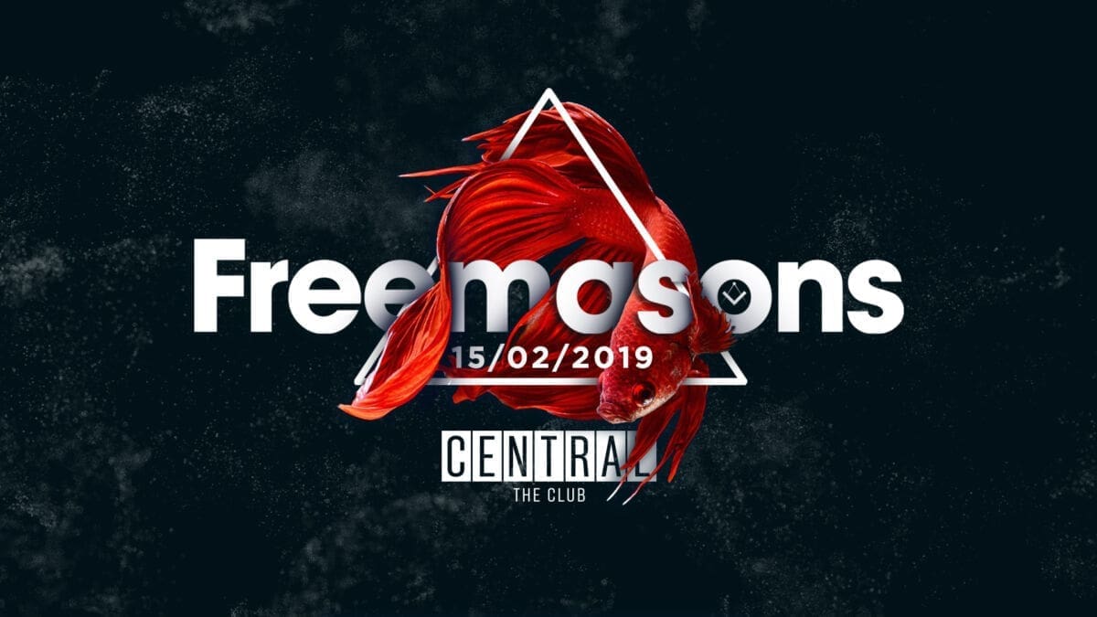 Discoteque One i Dance Affairs kao uvertira u nastup Freemasonsa