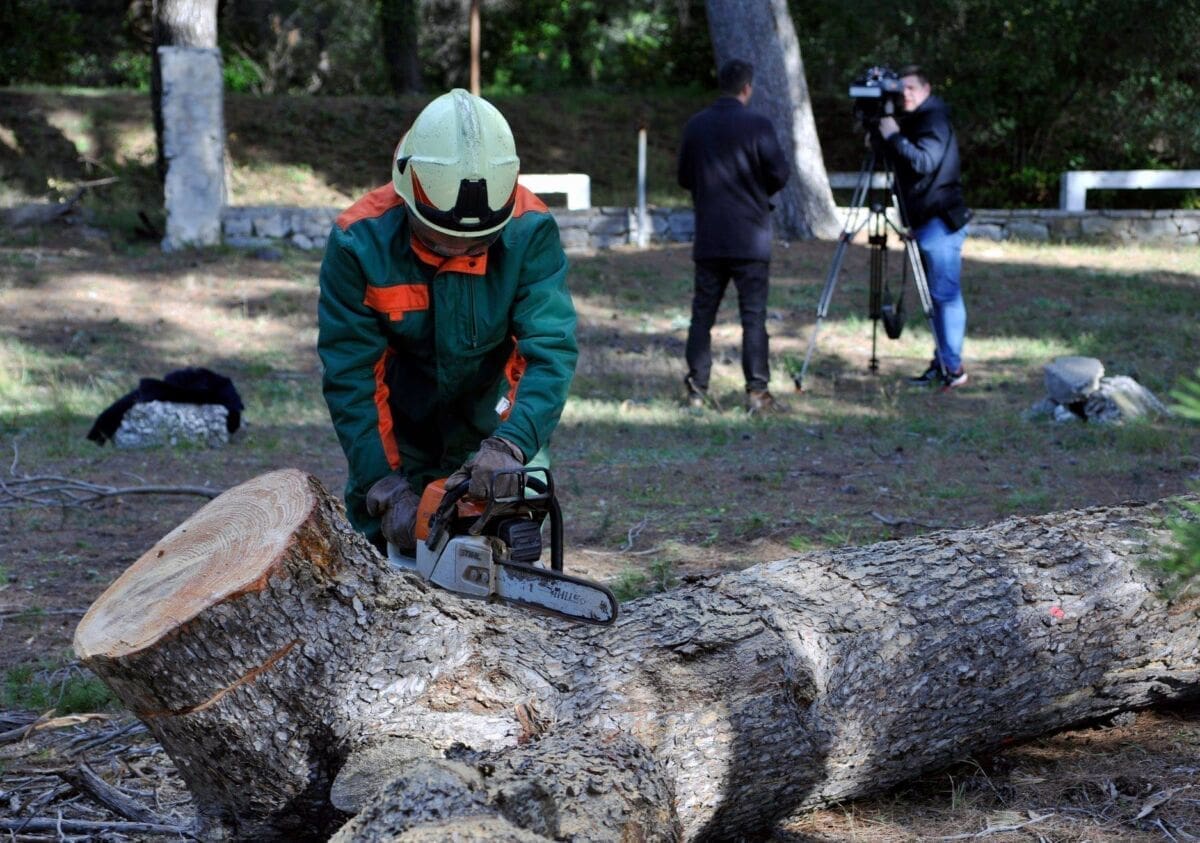 KRENULA SJEČA Radnici trebaju ukloniti oko 20 tisuća stabala s Marjana