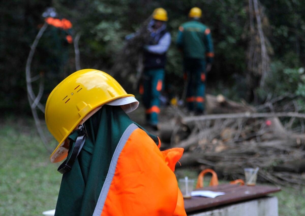 marjan_pilanje_vila_dalmacija_(6)