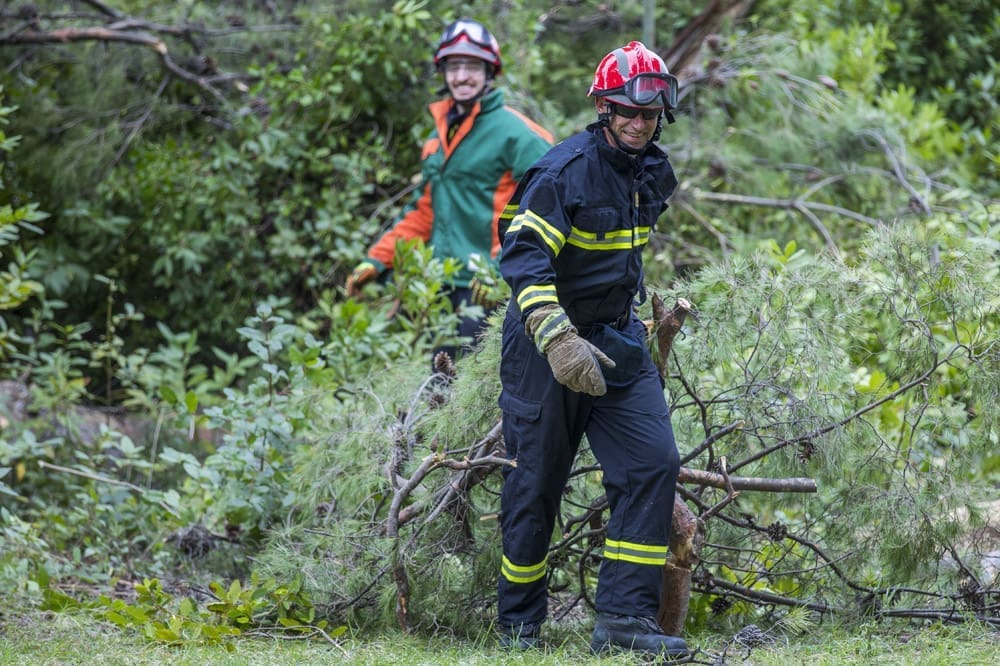 marjan_sjeca_stabala_medils_(1)