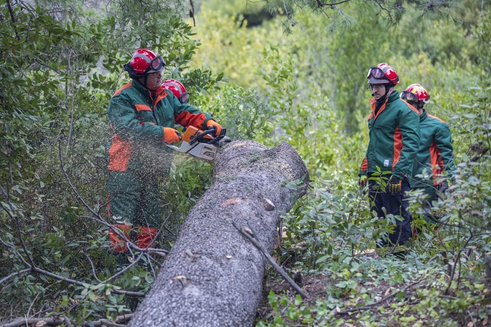 BRAVO VATROGASCI: Nastavljena sječa stabala na južnoj strani Marjana