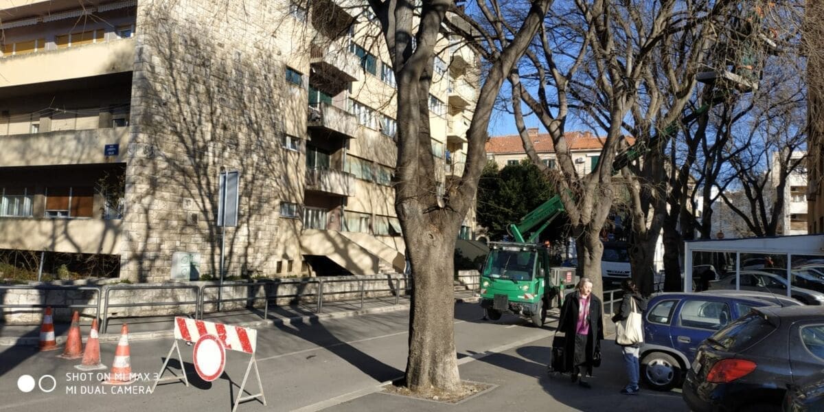 parkovi-nasadi-split (1)