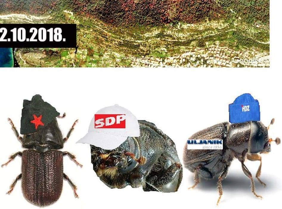 Pauk ima rješenje za potkornjake: "Pridružimo ih partizanima - napustit će šumu i useliti u četverosobne stanove"