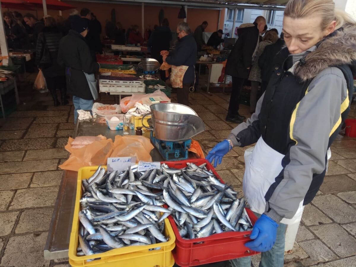 ĐIR PO SPLITSKOJ PEŠKARIJI Mol i trlja najtraženiji: Evo kakva je ponuda i kako se kreću cijene