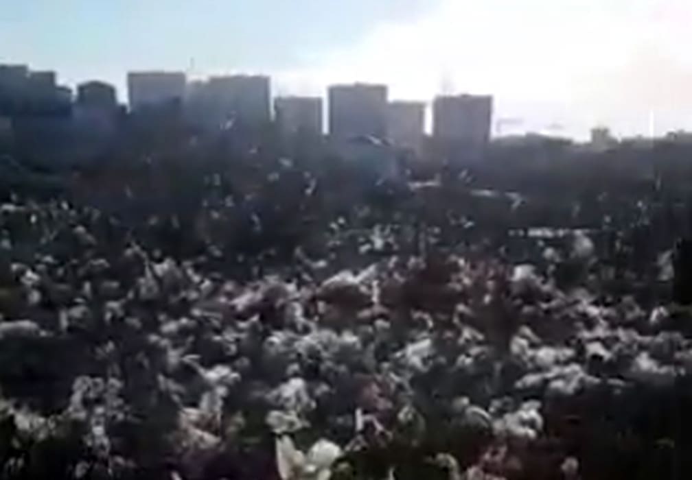 Dio Splita se ipak zabijelio za vrijeme jučerašnjeg polarnog prodora, ali ne od snijega!