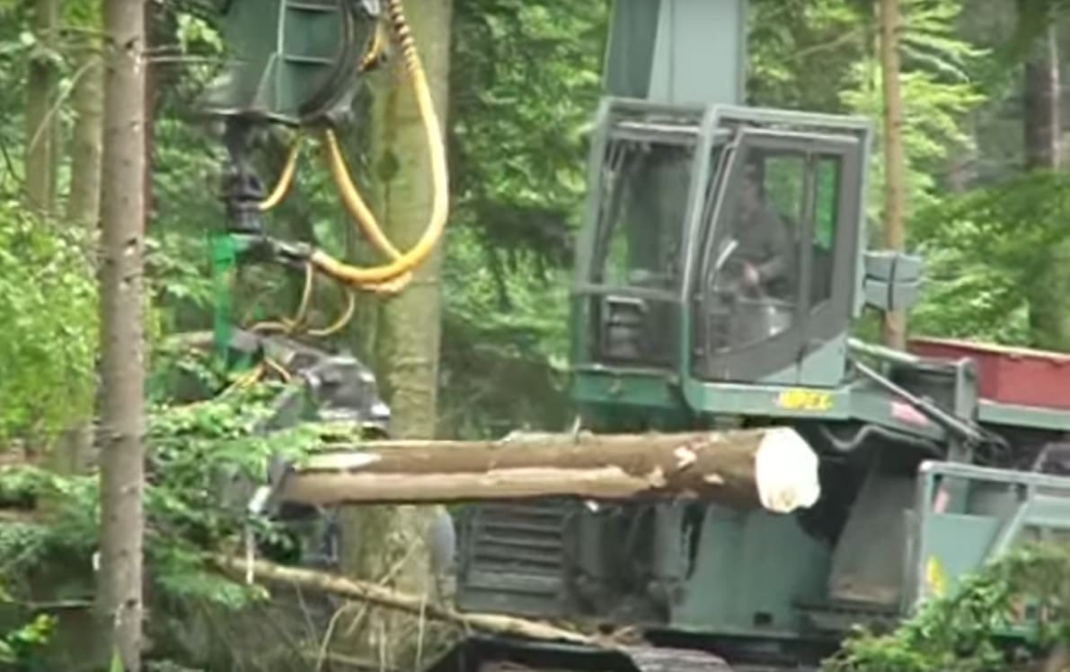 Ovako se u Europi bori protiv potkornjaka: Strojevi čak i zaštićenim šumama nacionalnih parkova