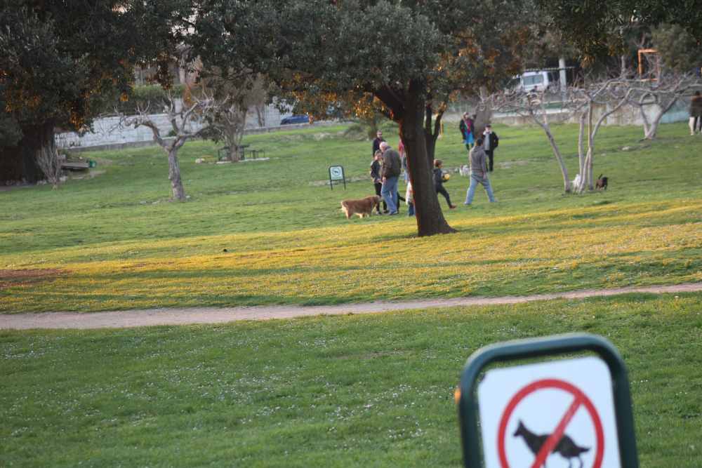 OPASNOST NA ZVONČACU: Psi se bez brnjice puštaju po dječjem igralištu, bez obzira na zabranu!