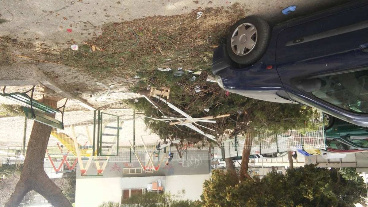 "Kad je već gradskim službama teško ukloniti srušeni čempres u Iločkoj, to će učiniti ljudi s Plokita"