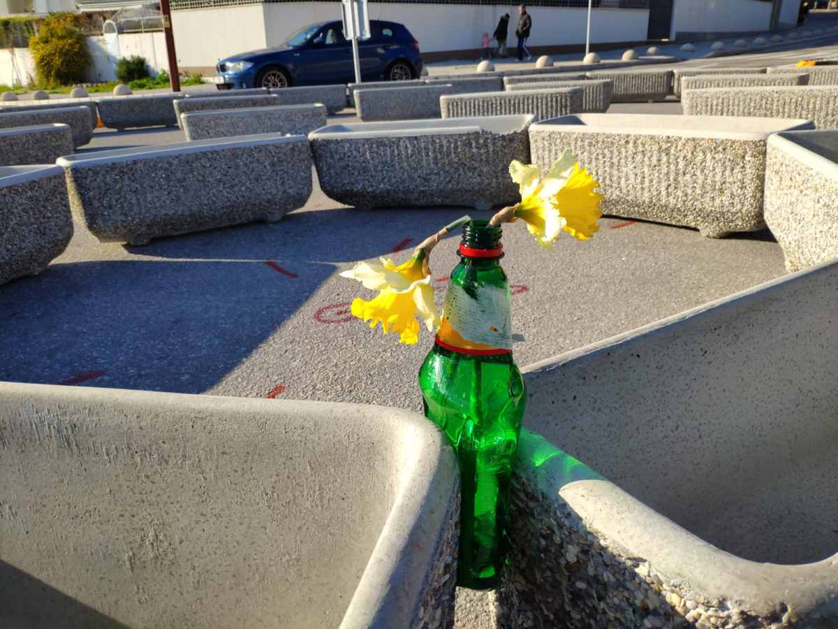 Pogledajte kako je prolaznik "obogatio" cvijećem kružni tok u Bračkoj ulici