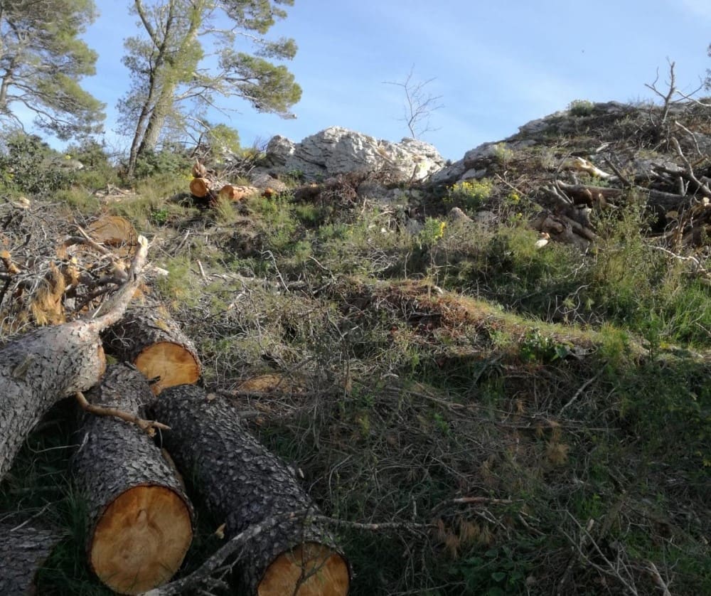 VOLONTERI SE UKLJUČUJU U RADOVE NA MARJANU Evo kad je prva akcija i kako sudjelovati