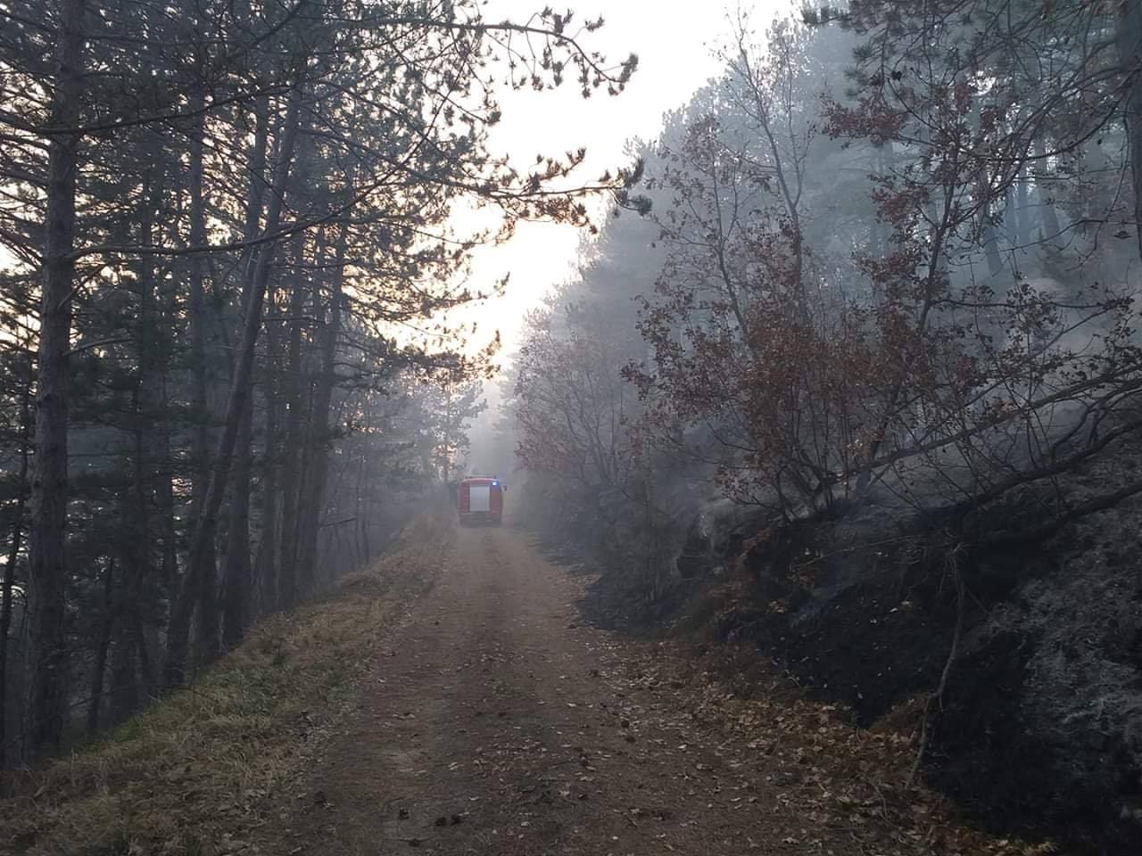 Besana noć na požarištu kod Sutine: 40-ak vatrogasaca pazi da bura ne aktivira požar