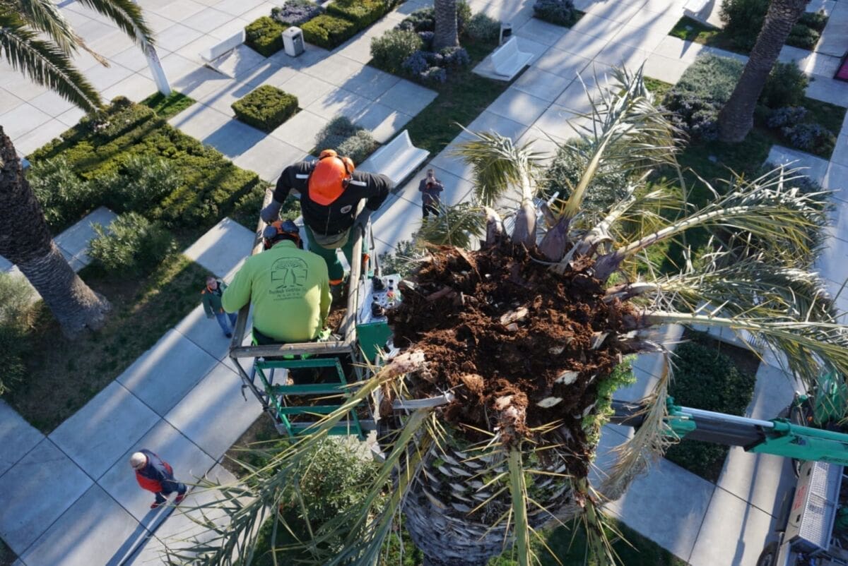 palmina-pipa-riva(1)