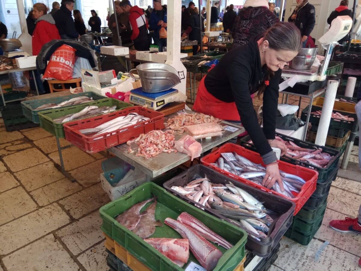 peskarija-ribarnica(4)