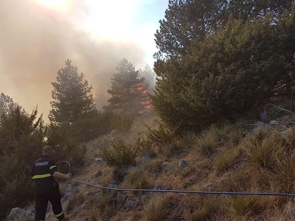 U samo pet dana buknulo 339 požara raslinja - HVZ upozorava građane na dodatan oprez