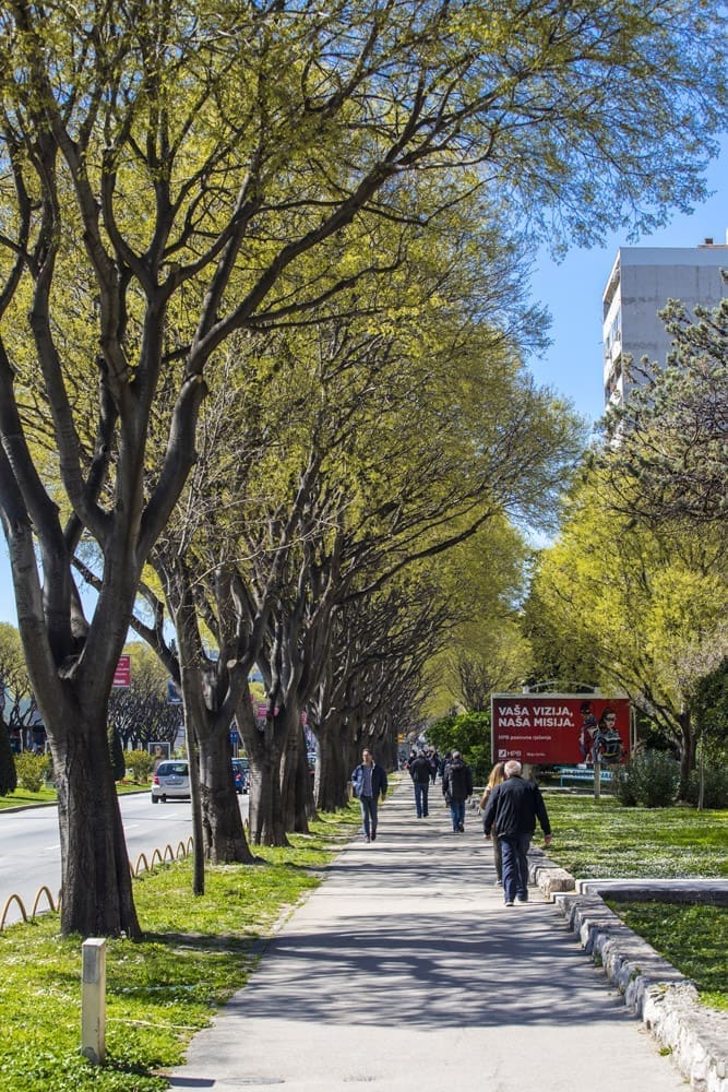 proljece_poljicka_(2)