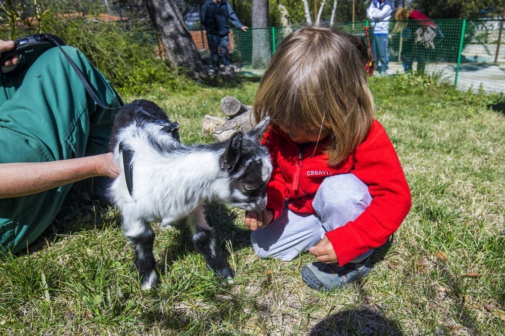 20190328_zooloski_(1)