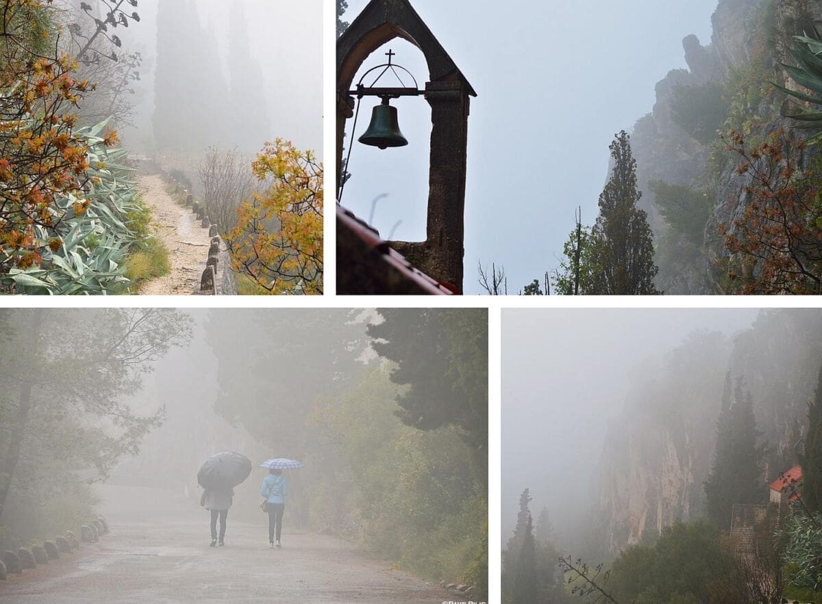 Marjan kakav se rijetko viđa: Pogledajte čarobne prizore prirode u gustoj magli