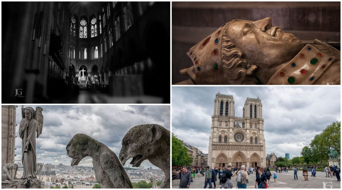 "Pitanje je hoćemo li Notre Dame za naših života opet vidjeti onakvu kakva je bila"