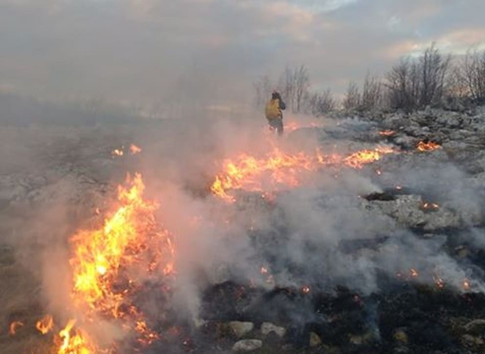Policija uhitila muškarce koji su jučer, paleći korov, izazvali 2 požara: Prijeti im do 15 tisuća kuna kazne